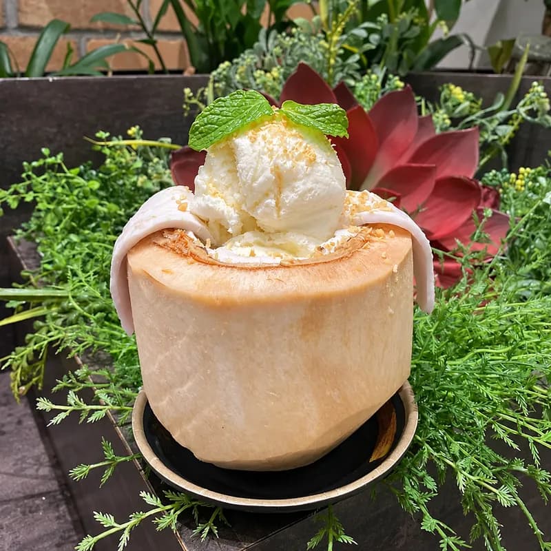 Whole Coconut Ice Cream